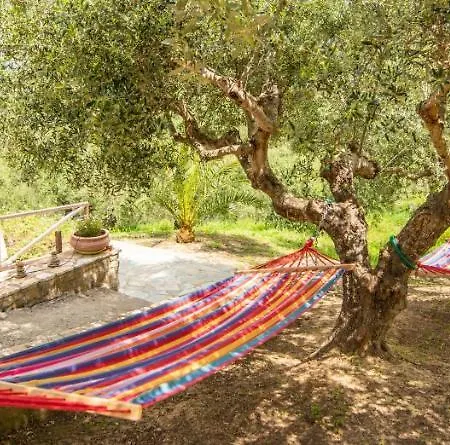 Hakuna Matata Holidays Wooden With Airco & Pool In Greek Olive Grove ロッジ *