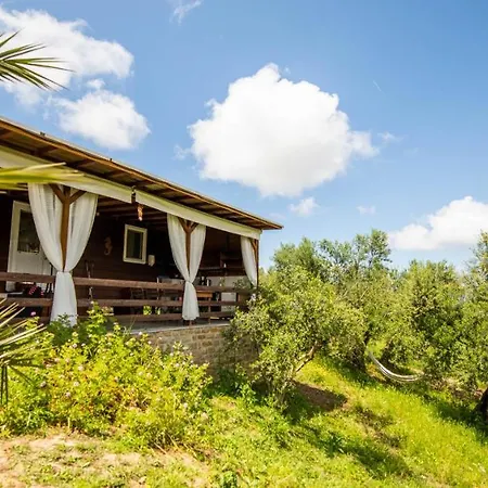 Hakuna Matata Holidays Wooden With Airco & Pool In Greek Olive Grove *