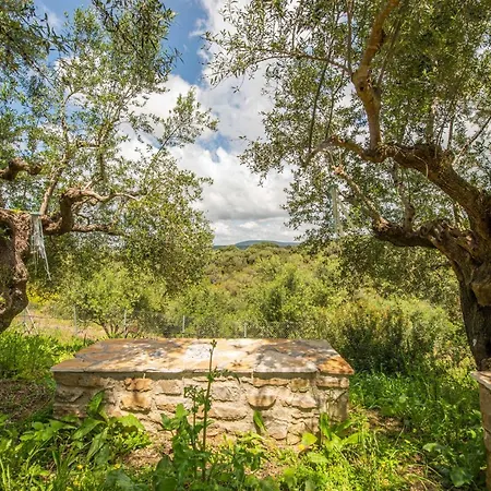 Hakuna Matata Holidays Wooden With Airco & Pool In Greek Olive Grove * メトーニ