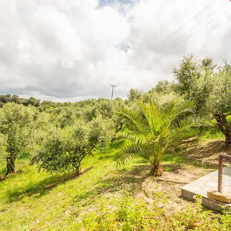 Hakuna Matata Holidays Wooden With Airco & Pool In Greek Olive Grove *