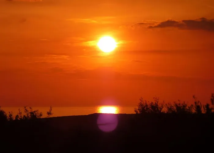 Hakuna Matata Holidays Wooden With Airco & Pool In Greek Olive Grove *