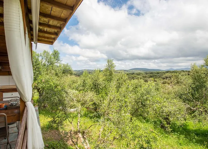 Gerendaház Hakuna Matata Holidays Wooden With Airco & Pool In Greek Olive Grove