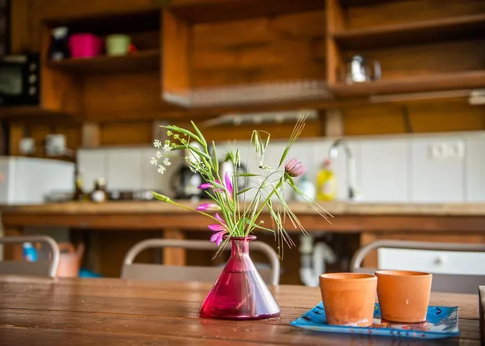 Gerendaház Hakuna Matata Holidays Wooden With Airco & Pool In Greek Olive Grove *