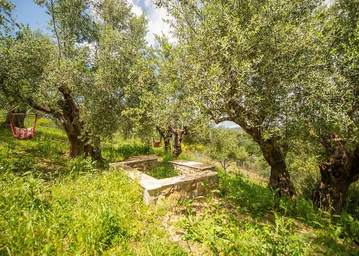 Hakuna Matata Holidays Wooden With Airco & Pool In Greek Olive Grove Methóni