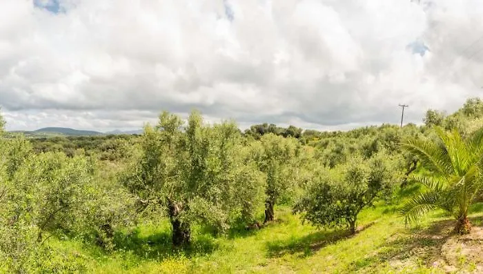 Hakuna Matata Holidays Wooden With Airco & Pool In Greek Olive Grove * Methóni