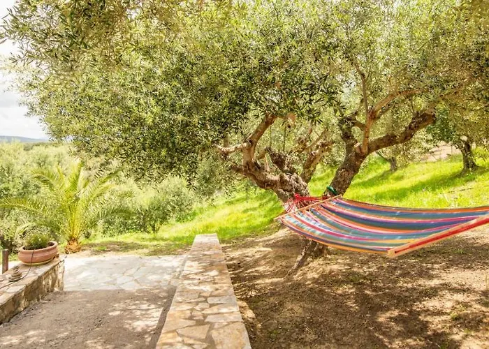 Gerendaház Hakuna Matata Holidays Wooden With Airco & Pool In Greek Olive Grove Methóni