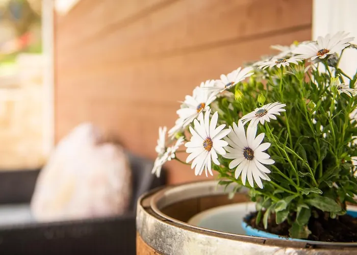 Hakuna Matata Holidays Wooden With Airco & Pool In Greek Olive Grove Gerendaház *