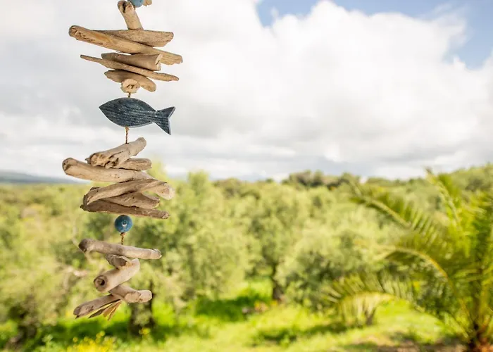 Gerendaház Hakuna Matata Holidays Wooden With Airco & Pool In Greek Olive Grove