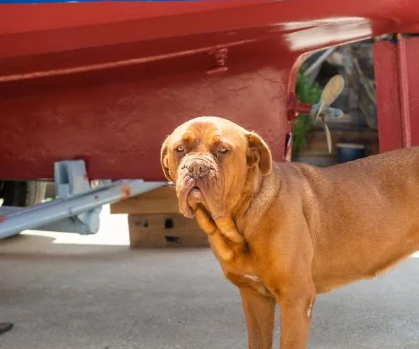 Hakuna Matata Holidays Wooden With Airco & Pool In Greek Olive Grove Gerendaház Methóni