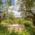 Hakuna Matata Holidays Wooden With Airco & Pool In Greek Olive Grove * Methoni (Messenia)