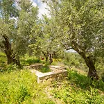 Hakuna Matata Holidays Wooden With Airco & Pool In Greek Olive Grove Methoni (Messenia)