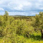 Hakuna Matata Holidays Wooden With Airco & Pool In Greek Olive Grove * Methoni (Messenia)