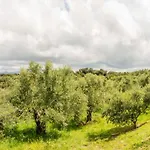 Hakuna Matata Holidays Wooden With Airco & Pool In Greek Olive Grove * Methoni (Messenia)