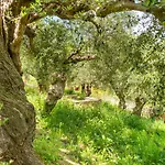 Hakuna Matata Holidays Wooden With Airco & Pool In Greek Olive Grove Lodge *