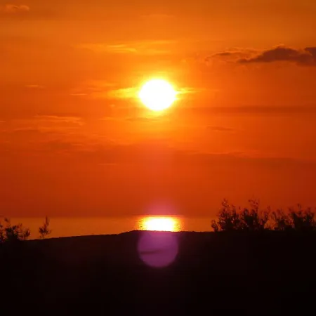 Hakuna Matata Holidays Wooden With Airco & Pool In Greek Olive Grove *