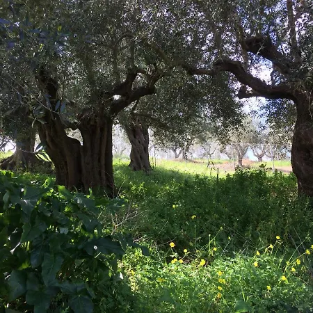 Hakuna Matata Holidays Wooden With Airco & Pool In Greek Olive Grove Alojamento de Turismo Selvagem Modon