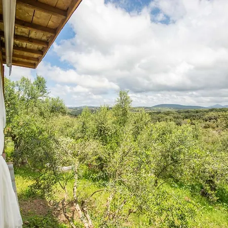 Lodge Hakuna Matata Holidays Wooden With Airco & Pool In Greek Olive Grove