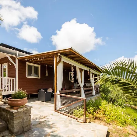 Hakuna Matata Holidays Wooden With Airco & Pool In Greek Olive Grove Lodge *