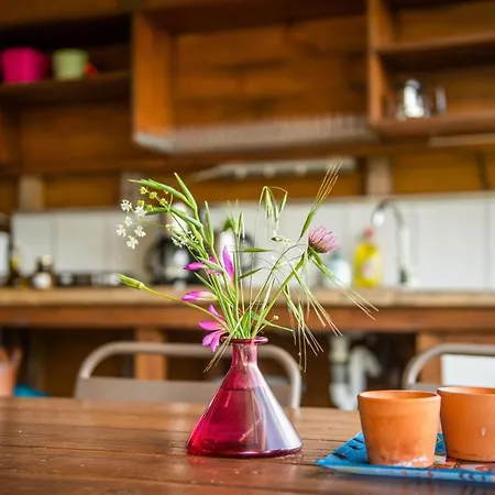 Lodge Hakuna Matata Holidays Wooden With Airco & Pool In Greek Olive Grove *