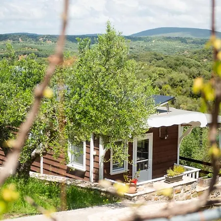 Hakuna Matata Holidays Wooden With Airco & Pool In Greek Olive Grove Lodge Methoni (Messenia)