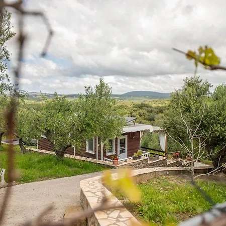 Hakuna Matata Holidays Wooden With Airco & Pool In Greek Olive Grove * Methone