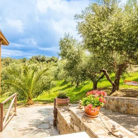 Lodge Hakuna Matata Holidays Wooden With Airco & Pool In Greek Olive Grove