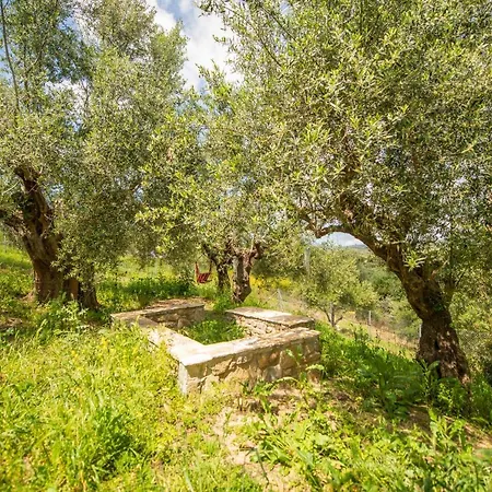 Hakuna Matata Holidays Wooden With Airco & Pool In Greek Olive Grove Methone