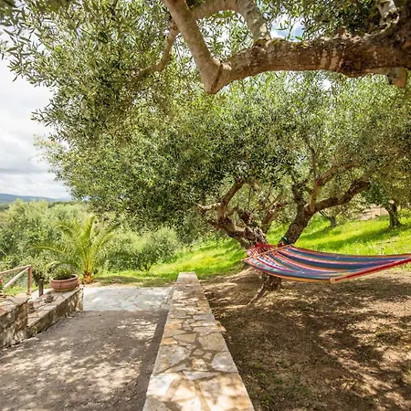 Hakuna Matata Holidays Wooden With Airco & Pool In Greek Olive Grove *