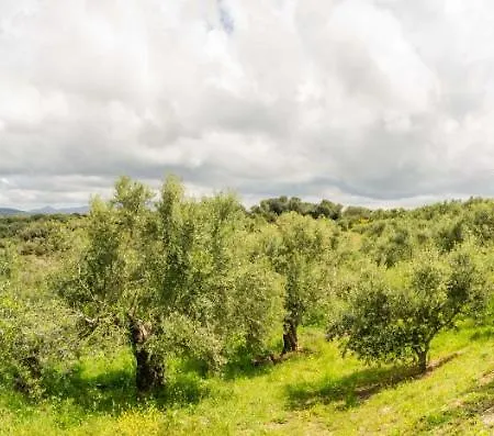 Hakuna Matata Holidays Wooden With Airco & Pool In Greek Olive Grove * ميثوني