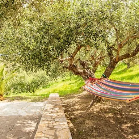 Orman Evi Hakuna Matata Holidays Wooden With Airco & Pool In Greek Olive Grove Methoni (Messenia)