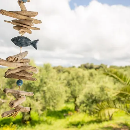 Lodge Hakuna Matata Holidays Wooden With Airco & Pool In Greek Olive Grove