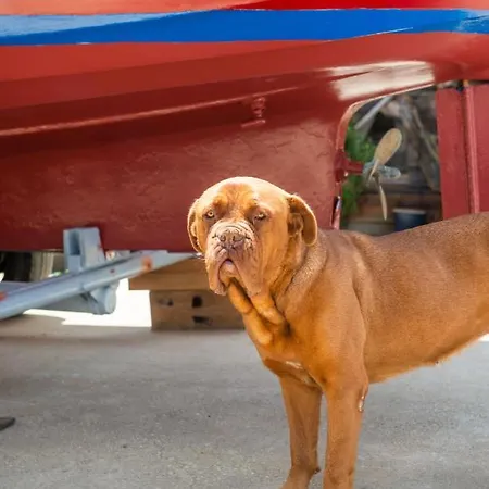 Hakuna Matata Holidays Wooden With Airco & Pool In Greek Olive Grove بيت خشبي ميثوني