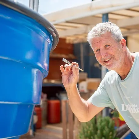 Hakuna Matata Holidays Wooden With Airco & Pool In Greek Olive Grove Lodge Methone