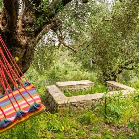 Hakuna Matata Holidays Wooden With Airco & Pool In Greek Olive Grove Methone