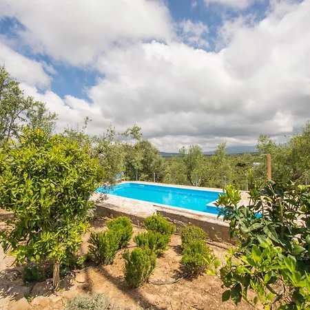 Hakuna Matata Holidays Wooden With Airco & Pool In Greek Olive Grove Lodge
