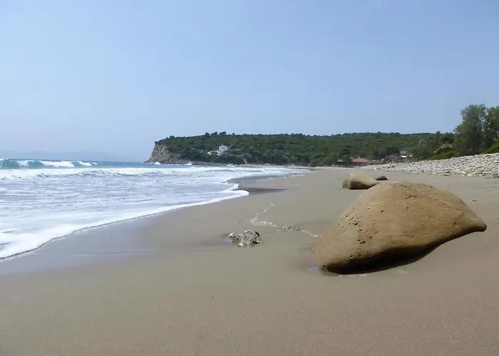 Alojamento de Turismo Selvagem Hakuna Matata Holidays Wooden With Airco & Pool In Greek Olive Grove