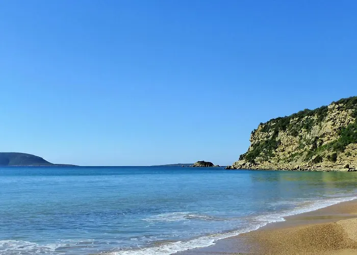 Hakuna Matata Holidays Wooden With Airco & Pool In Greek Olive Grove Modon