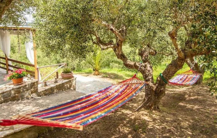 Hakuna Matata Holidays Wooden With Airco & Pool In Greek Olive Grove Alojamento de Turismo Selvagem *