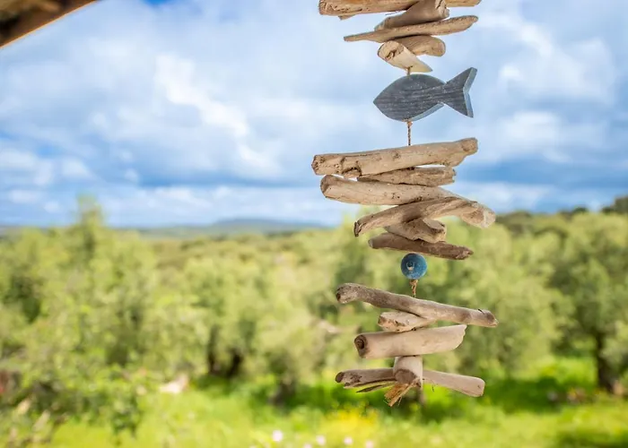 Hakuna Matata Holidays Wooden With Airco & Pool In Greek Olive Grove * Modon