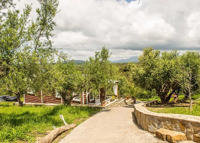 Alojamento de Turismo Selvagem Hakuna Matata Holidays Wooden With Airco & Pool In Greek Olive Grove Modon