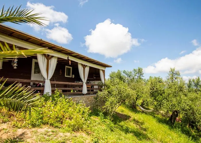 Hakuna Matata Holidays Wooden With Airco & Pool In Greek Olive Grove *