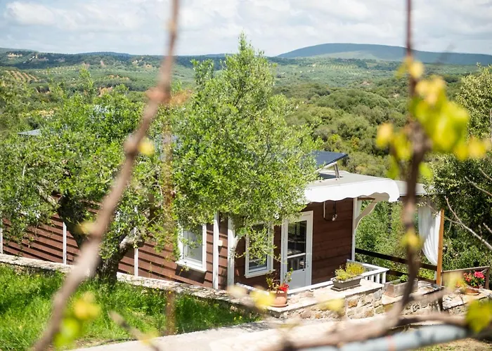 Hakuna Matata Holidays Wooden With Airco & Pool In Greek Olive Grove Alojamento de Turismo Selvagem Modon