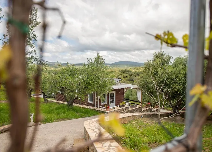 Hakuna Matata Holidays Wooden With Airco & Pool In Greek Olive Grove * Modon