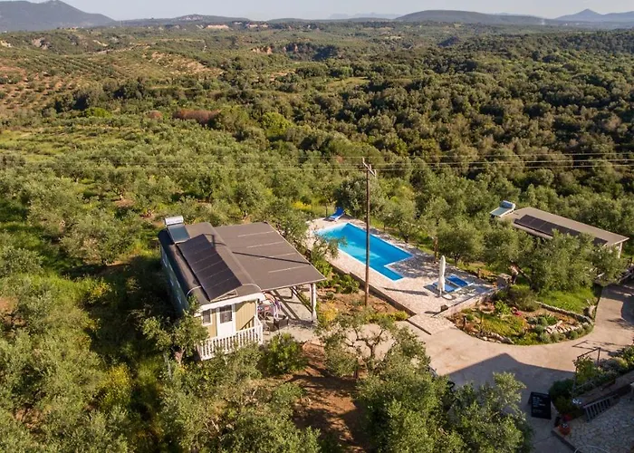 Hakuna Matata Holidays Wooden With Airco & Pool In Greek Olive Grove *