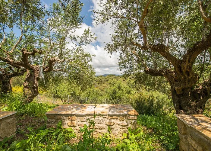 Hakuna Matata Holidays Wooden With Airco & Pool In Greek Olive Grove * Modon