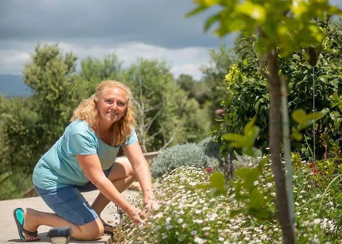 Hakuna Matata Holidays Wooden With Airco & Pool In Greek Olive Grove Modon