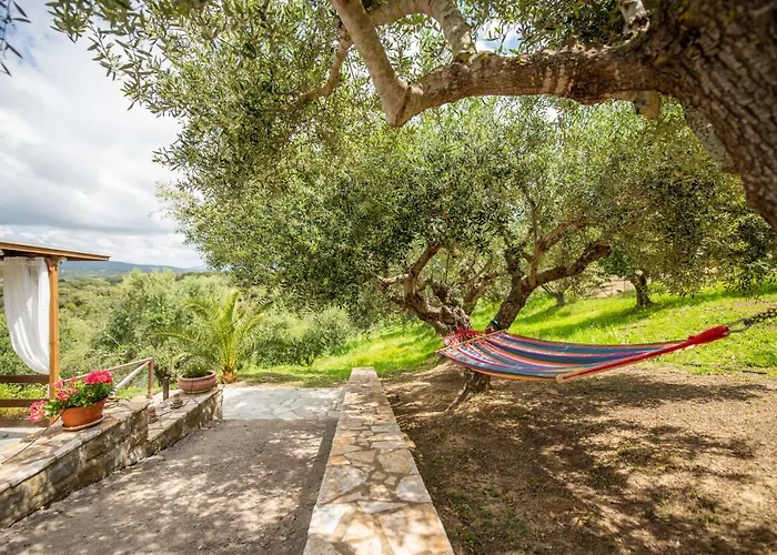 Hakuna Matata Holidays Wooden With Airco & Pool In Greek Olive Grove *