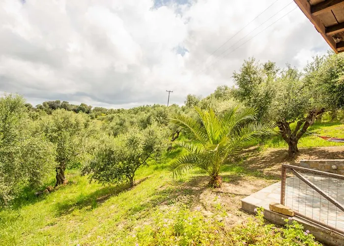 Hakuna Matata Holidays Wooden With Airco & Pool In Greek Olive Grove *