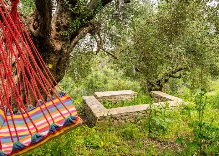 Hakuna Matata Holidays Wooden With Airco & Pool In Greek Olive Grove Modon